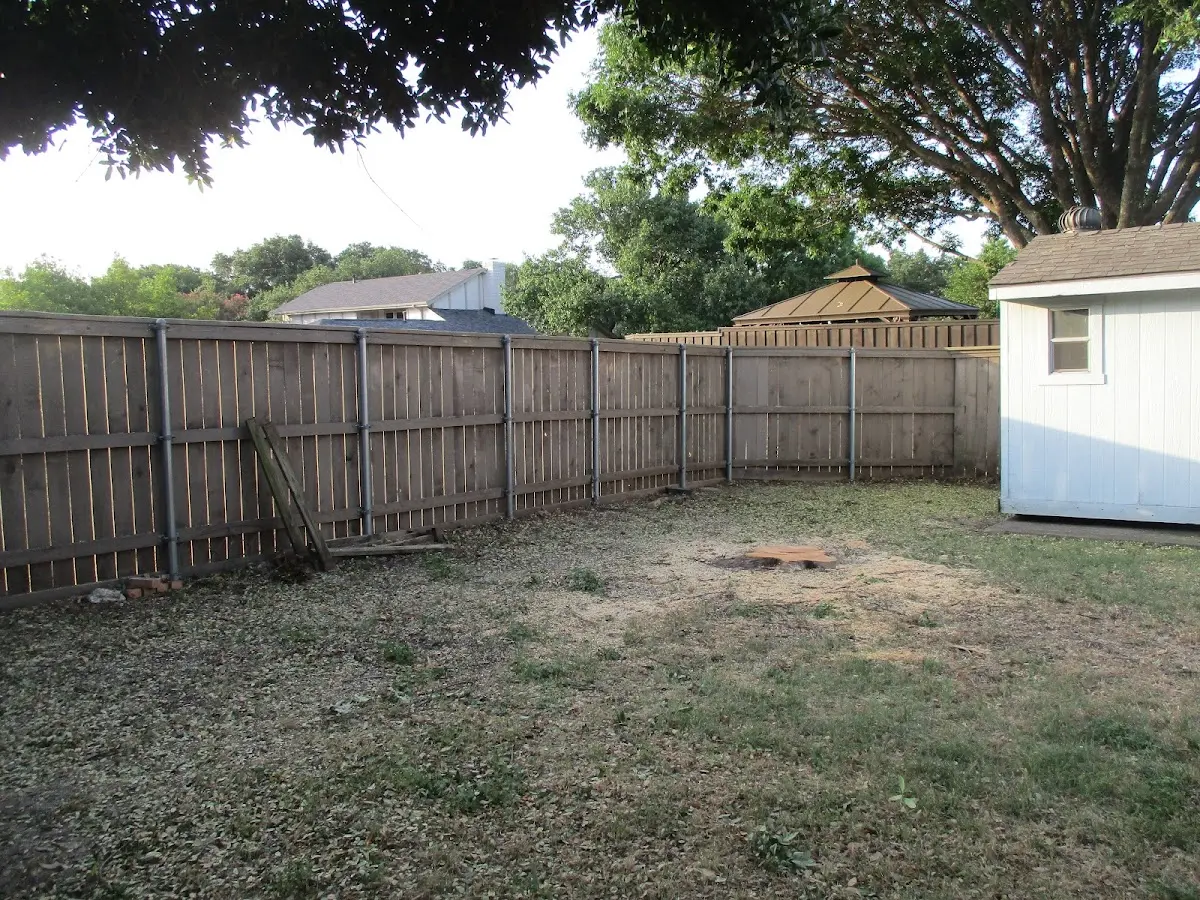 Cleared yard after professional tree removal in Catonsville